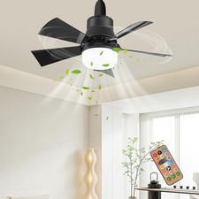 Modern Ceiling Fan With LED