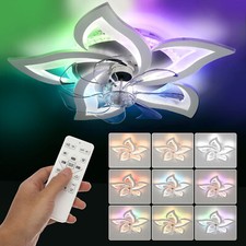 LED Ceiling Fan with Light