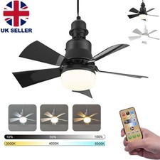 Modern Ceiling Fan With LED