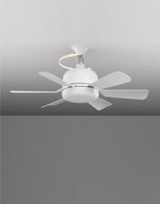 18 Inch Ceiling Fan with Light
