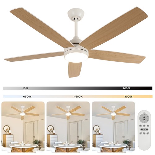 Led ceiling fan with - ceiling, and
