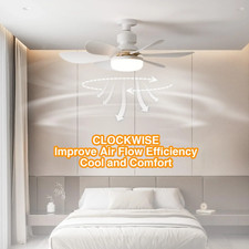 Modern Led Ceiling Fan with