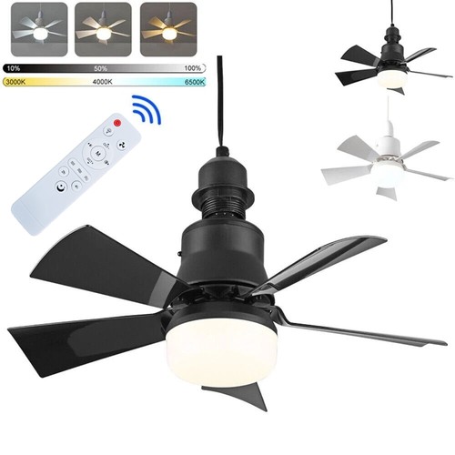 Modern ceiling fan - modern, led