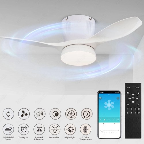 Large led ceiling - led,