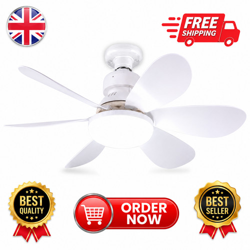 Modern led ceiling fan with - led,