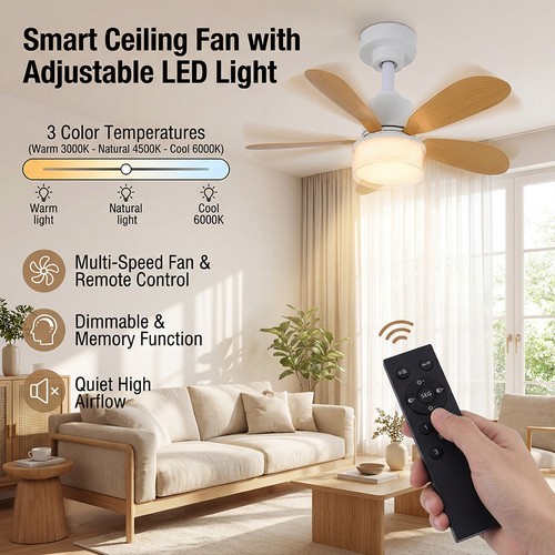 Led ceiling fan - led,