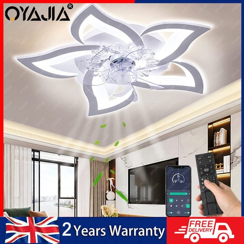 Ceiling fan with - with, lighting