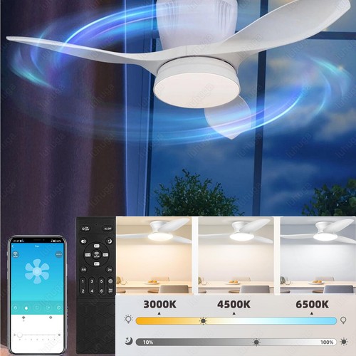 Speed large led - speed,