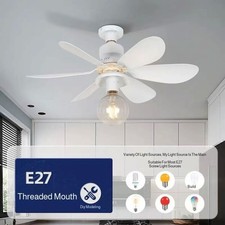 LED Ceiling Fan with Lighting
