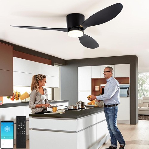 Speed led ceiling fans with - led,
