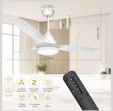 Ceiling Fan with Light